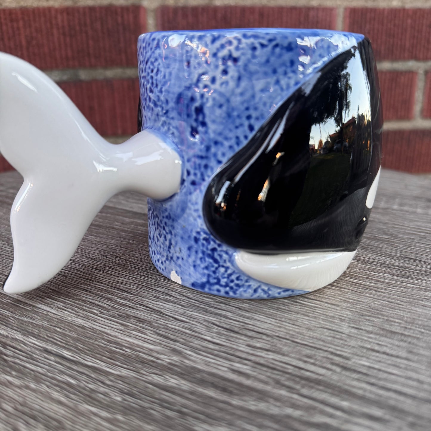 Vintage 1989 Bergschrund Orca Mug