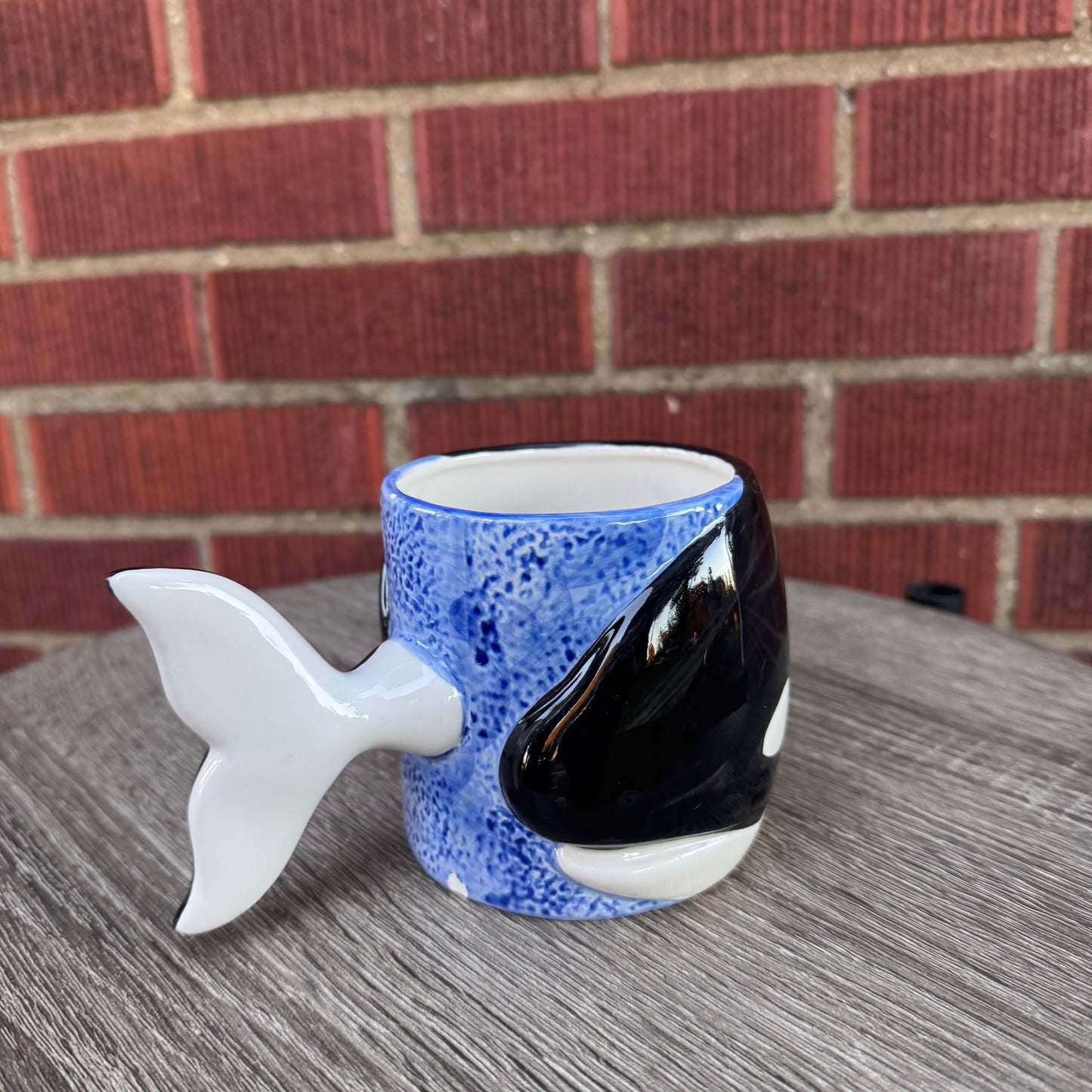 Vintage 1989 Bergschrund Orca Mug