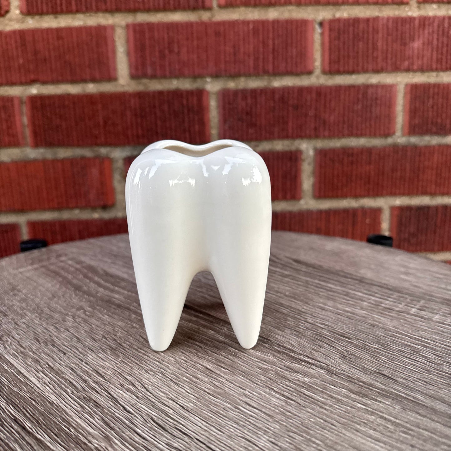 Ceramic Tooth Pencil Holder/Planter