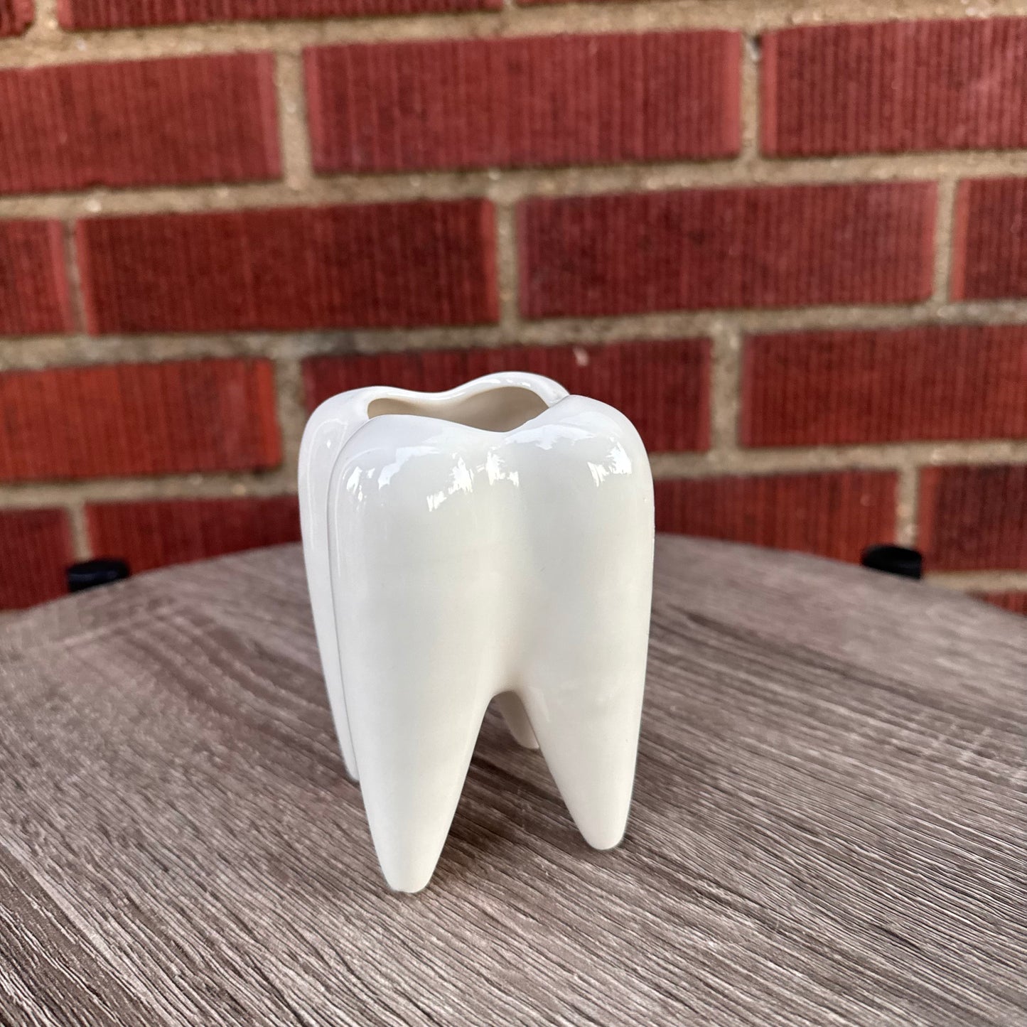 Ceramic Tooth Pencil Holder/Planter