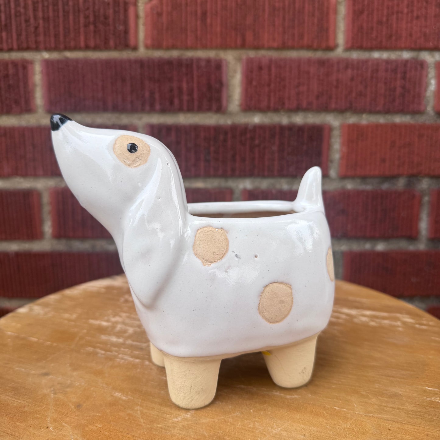 White & Brown Dog Planter