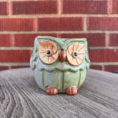 Ceramic Owl Planter (Small)