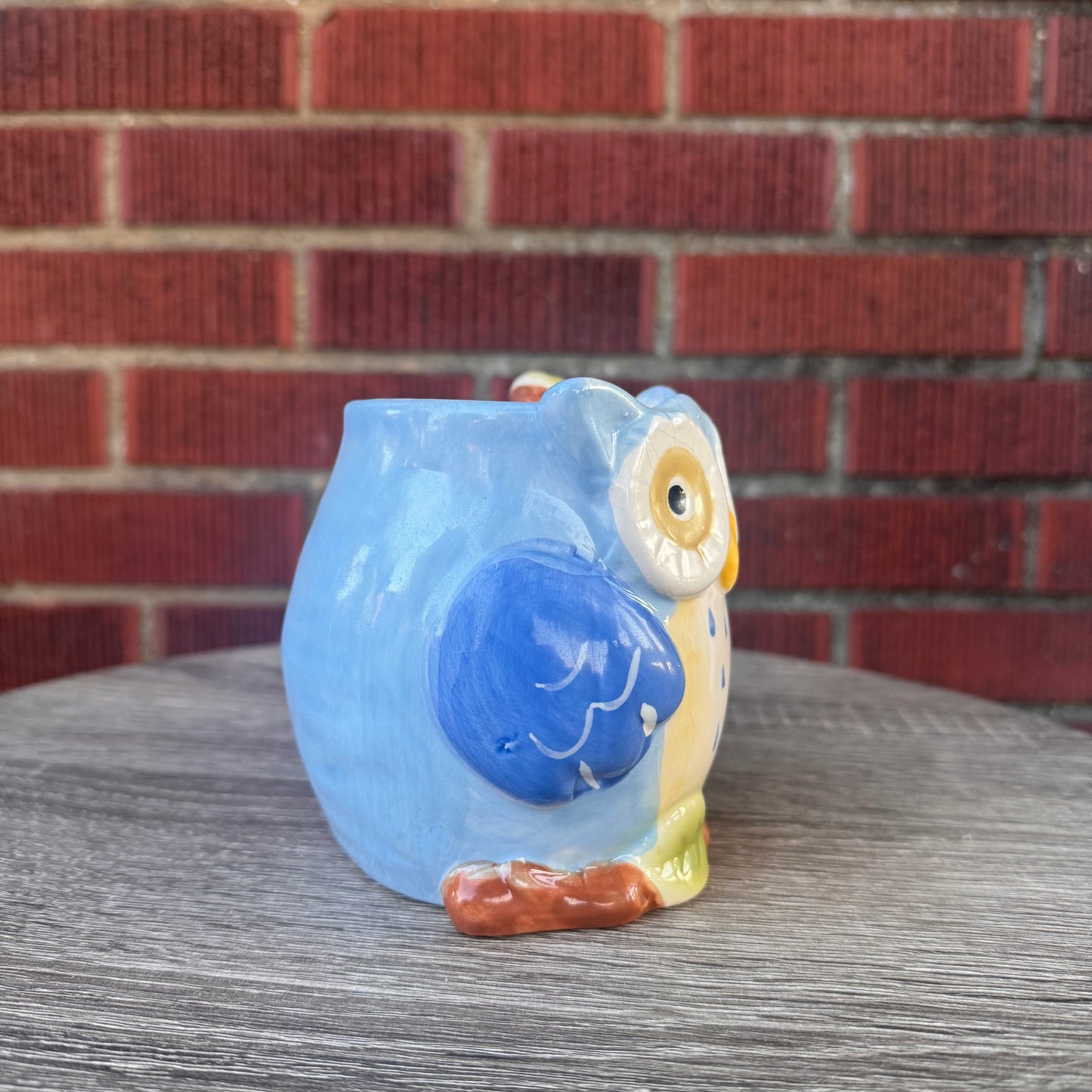 Blue Owl Coffee Mug